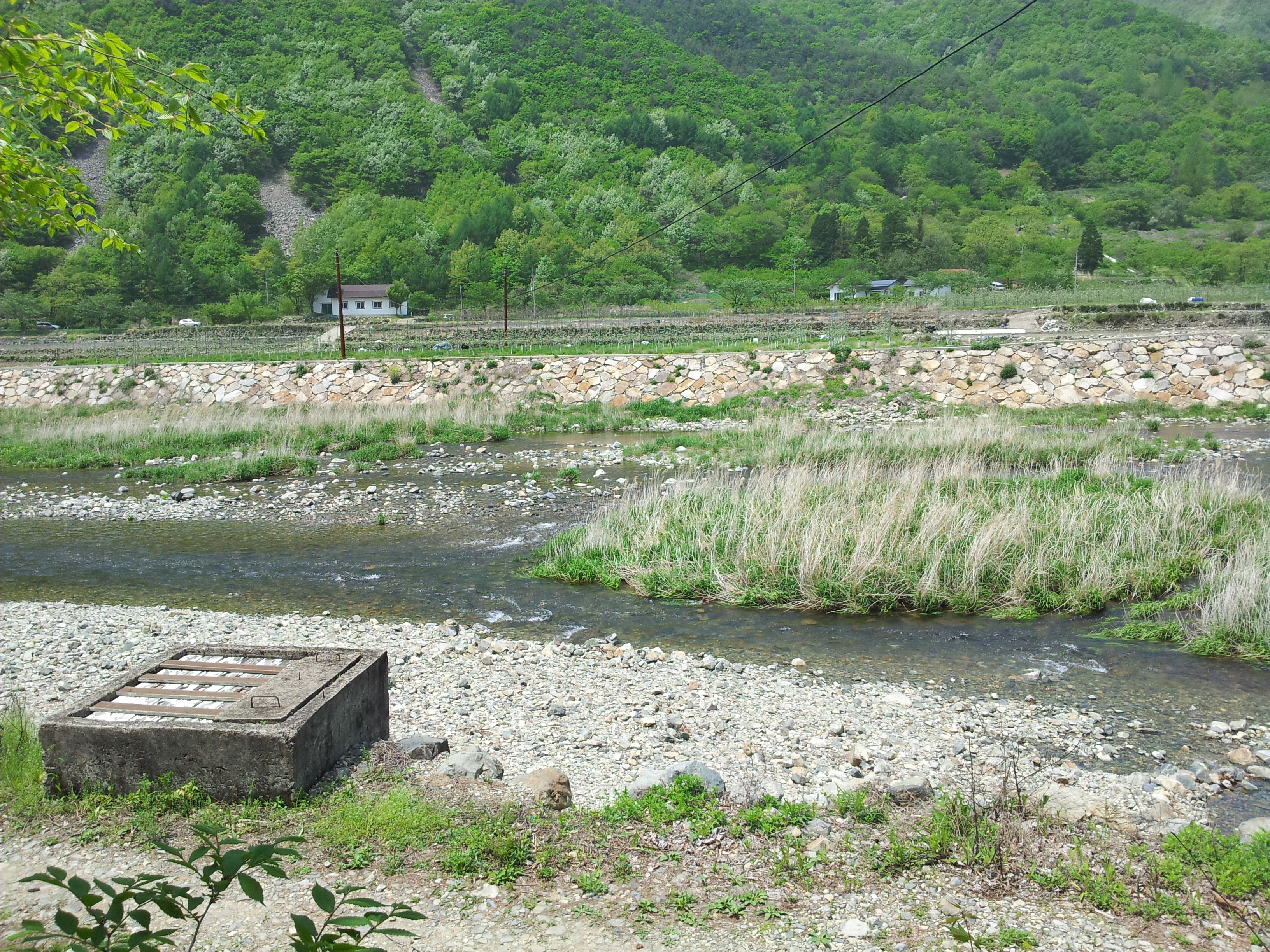 20120505_124259.jpg
