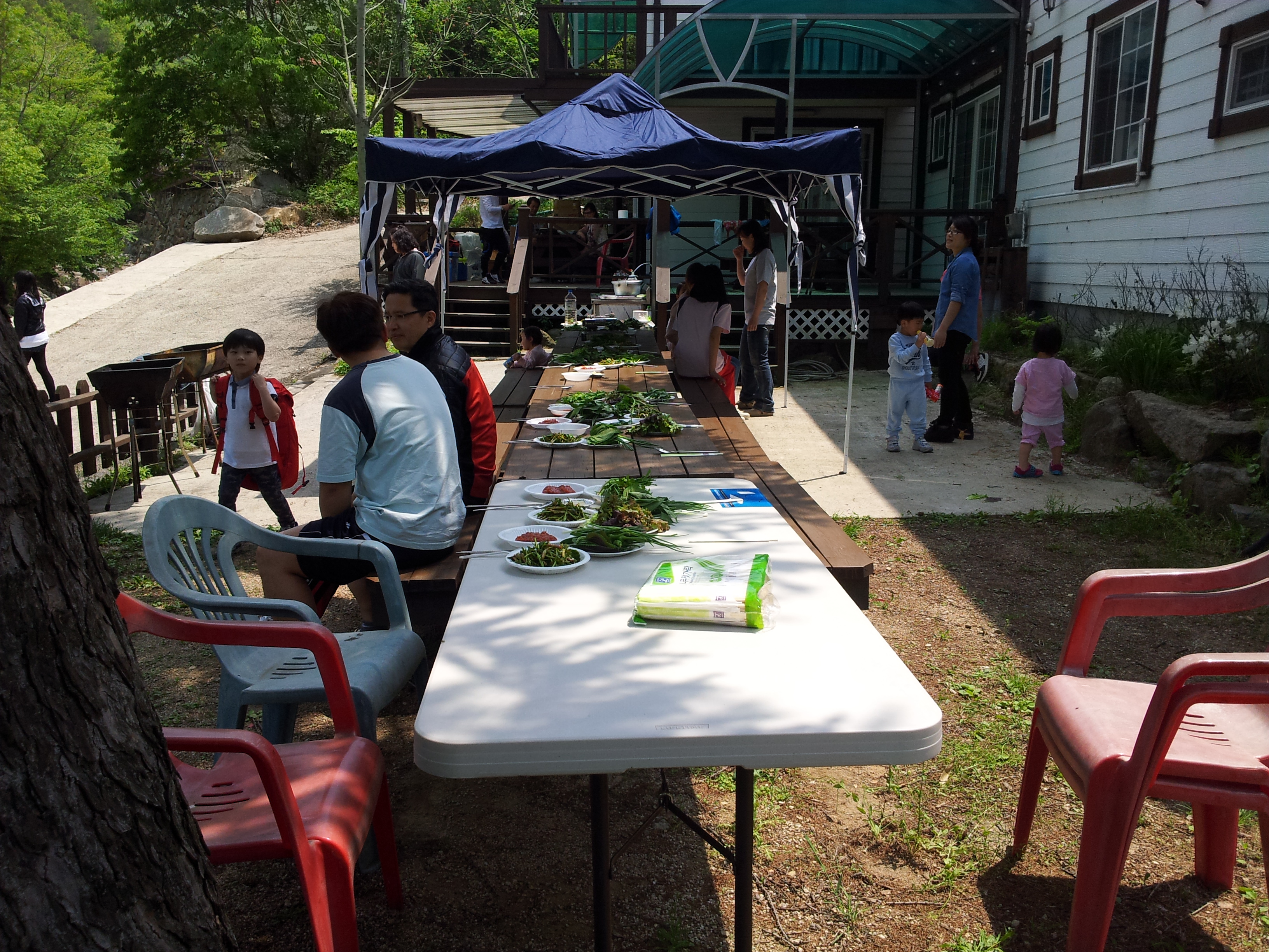 20120505_124234.jpg